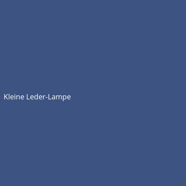 Kleine Leder-Lampe