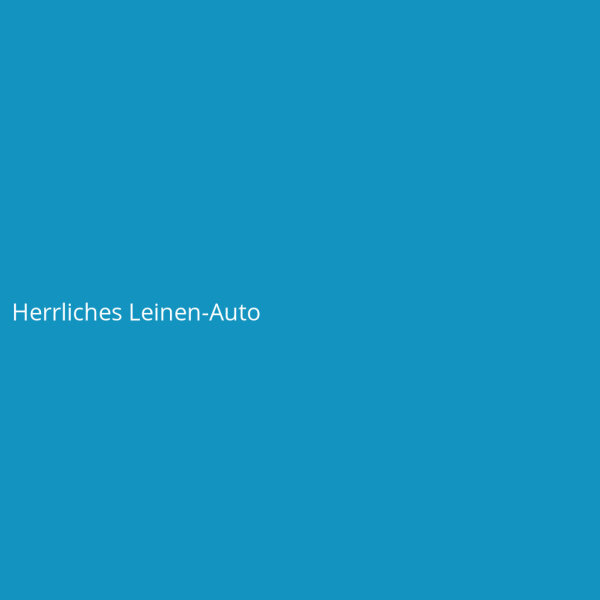 Herrliches Leinen-Auto