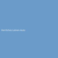 Herrliches Leinen-Auto
